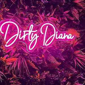  Bed & Breakfast Dirty Diana Frankrig